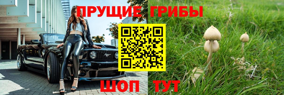 Псилоцибиновые грибы Psilocybe Карталы