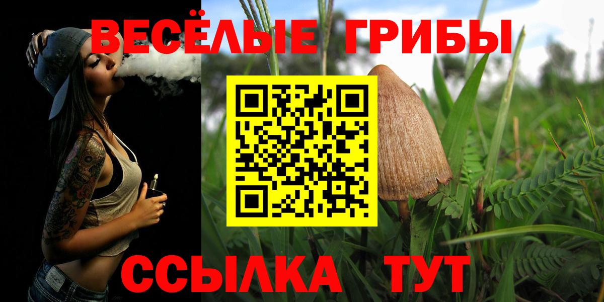 Псилоцибиновые грибы Magic Shrooms  Вход с VPN  Карталы 